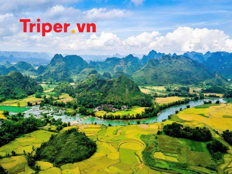 Giới Thiệu Về Công Ty Du Lịch Xanh