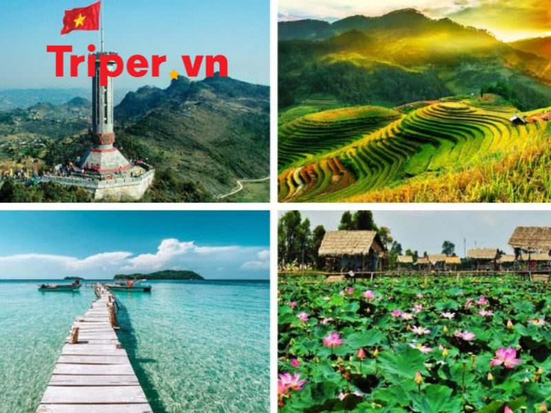 Ưu Điểm Của Công Ty Việt Sun Travel