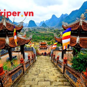 Công Ty Du Lịch Xanh