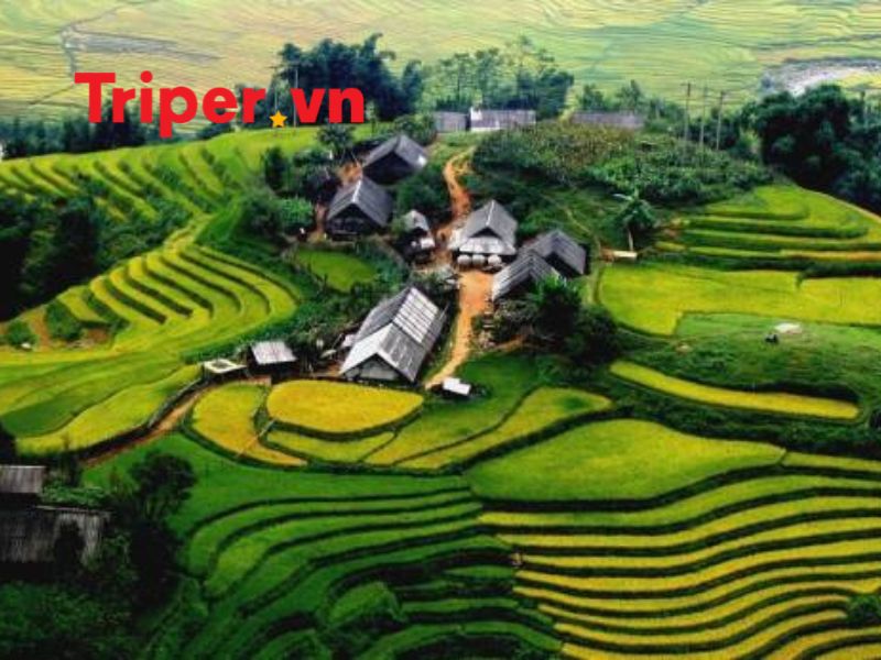 Ngành Nghề Kinh Doanh