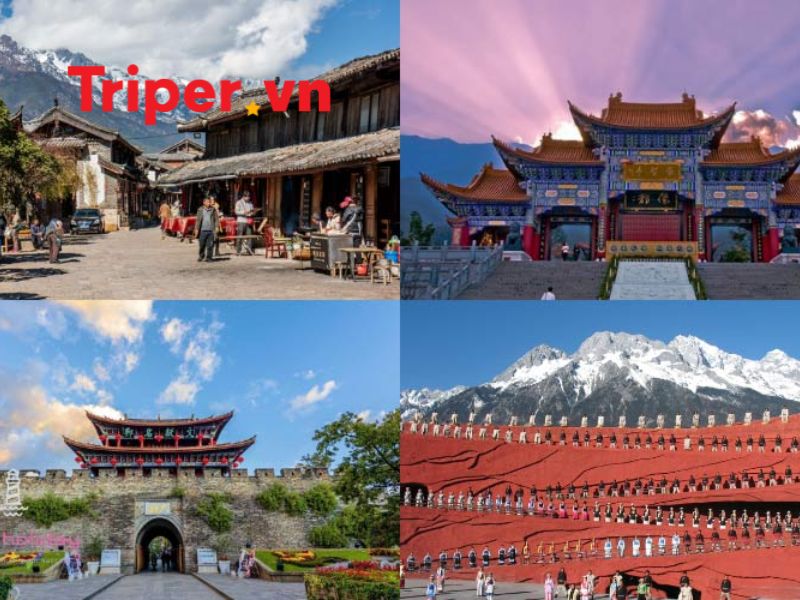 Ngành Nghề Kinh Doanh