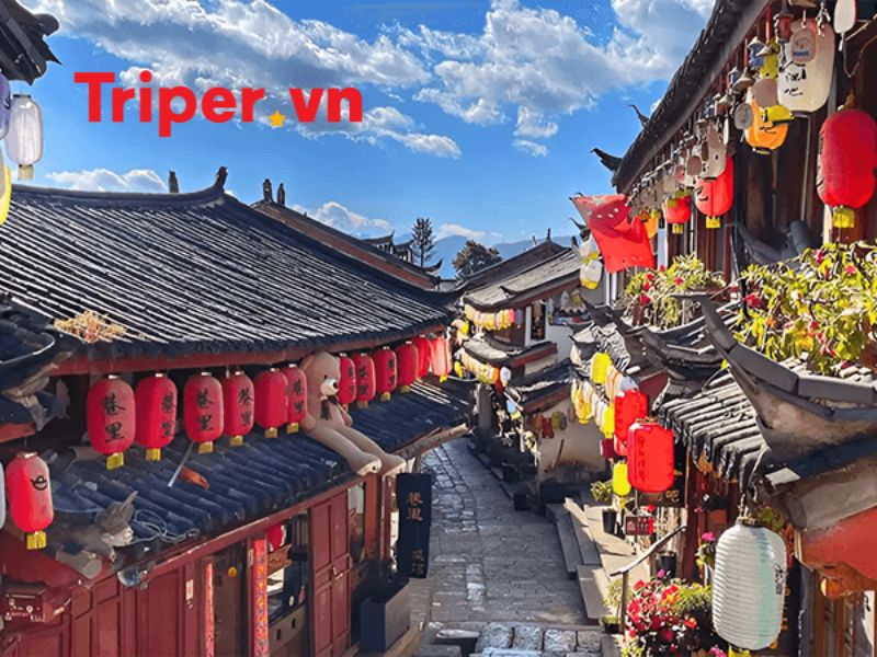 Thông Tin Các Tour Nổi Bật Tại Công Ty Du Lịch Zoom Travel