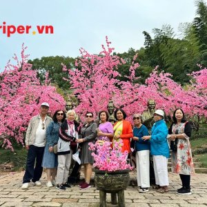 Công Ty Việt Sun Travel