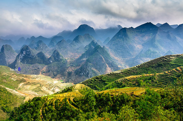 Cao Nguyên Đá Đồng Văn Ở Đâu