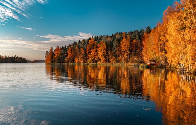 Lapland Rực Rỡ Mùa Ruska