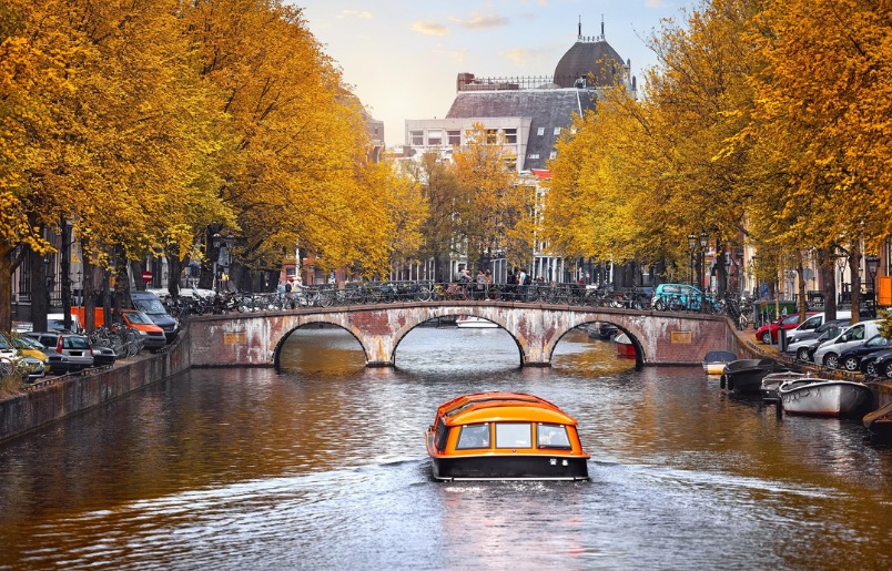 Amsterdam bên những hàng cây mùa thu Amsterdam Bên Những Hàng Cây Mùa Thu