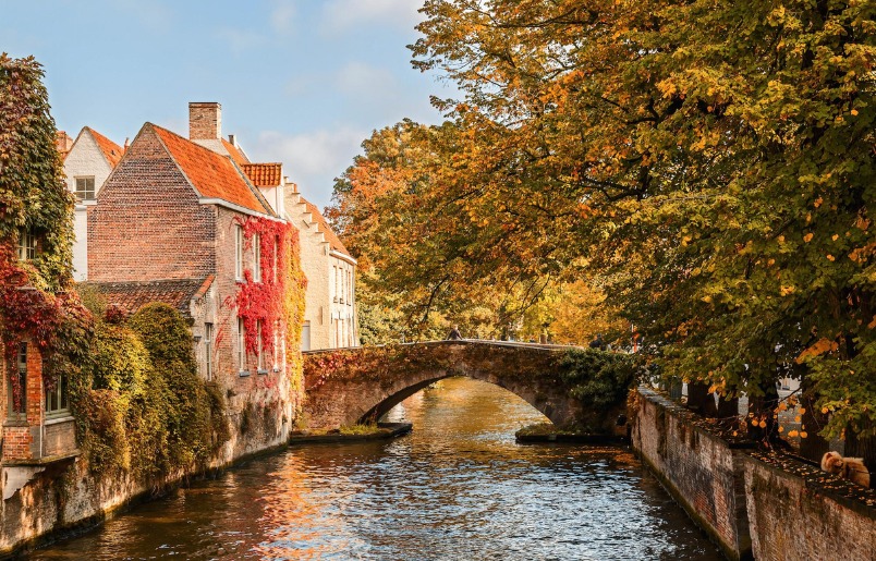 Bruges cổ kính bên kênh đào mùa thu Bruges Cổ Kính Bên Kênh Đào Mùa Thu