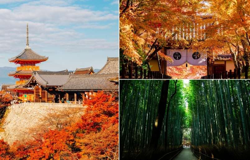 Kiyomizu-dera nổi bật giữa sắc lá đỏ của mùa thu Kyoto