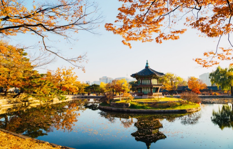 Gyeongbokgung nổi bật giữa sắc lá vàng đỏ của Seoul